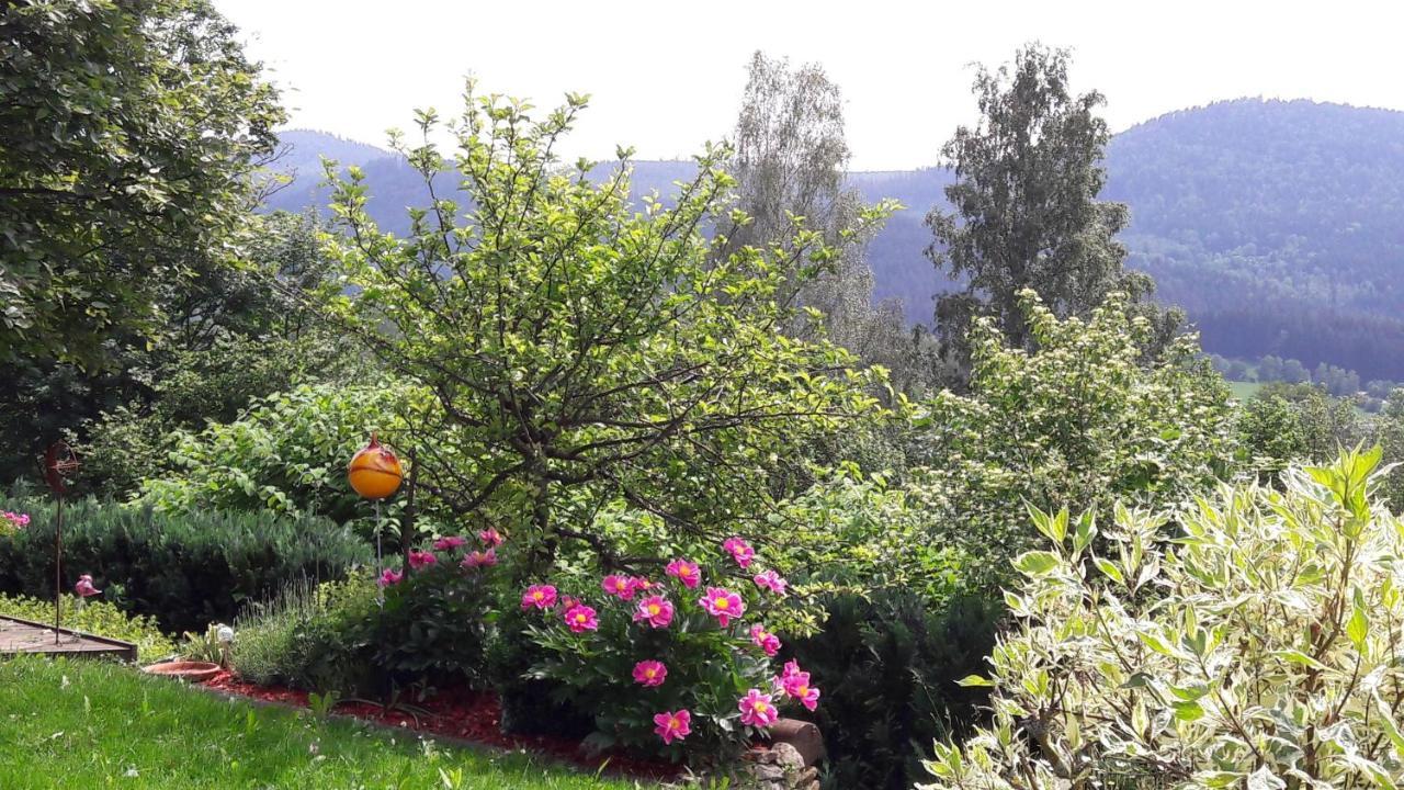 Ferienwohnung-Panoramablick-1 Боденмайс Екстериор снимка